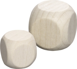 KN218483256- 15 stuks houten blokjes van 25mm