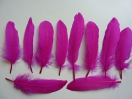 AM.401- 10 stuks ganzenveren van 15-20cm lang fuchsia