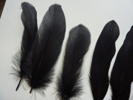 AM.221- 10 stuks ganzenveren van 15-20cm lang zwart