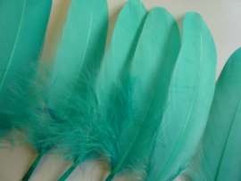 AM.416- 10 stuks ganzenveren van 16 tot 21cm lang licht turquoise