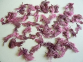 2600306- ca. 50 stuks (3gram) parelhoenveren van 3 tot 9cm lang roze/cerise  AANBIEDING