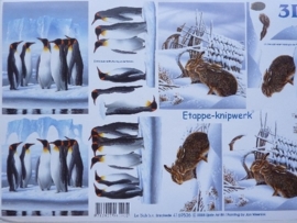 kn/711- A4 3D knipvel Le Suh pinguins / hazen