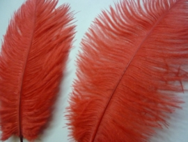 AM.154- 3 stuks struisvogelveer moulin rouge veren van 16-21cm lang rood