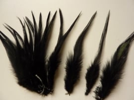 AM.200 - 15 stuks hanenveren van 10 - 13 cm lang zwart