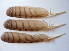 AM.201- 3 stuks uilen veren van 25 - 30 cm