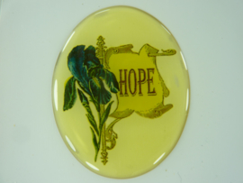 SLK.205. A - transparante zelfklevende badge "HOPE "