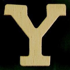 8735 632- 4cm houten letter Y