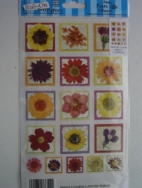 5007- bloemen Rub-on transfer