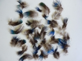 AM.199 - ca. 50 stuks  sierveertjes pauwblauw van 2.5 - 6 cm