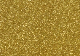 7904 274- magneetfolie 9x16cm goud met glitter