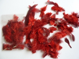 2600301- ca. 20 stuks (3gram) parelhoenveren van 10 - 15 cm lang rood  AANBIEDING