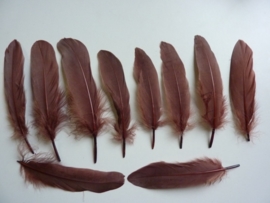 AM.402- 10 stuks ganzenveren van 15-20cm lang bruin
