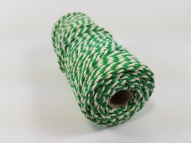 CE890030/3224- 43 mtr katoen macramé touw spoel 2mm 100grs - groen/wit