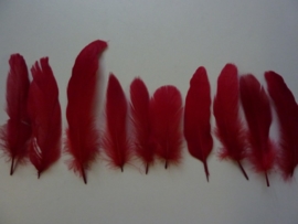 AM.100.B- 10 stuks ganzenveren van 15-20cm lang rood