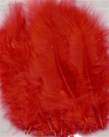 CE800804/2803- 15 stuks Marabou veren rood van 7 tot 14cm