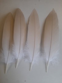 AM.414 - 1x adelaar veer van 37 - 40 wit