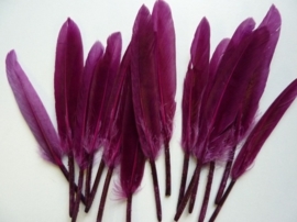 15 stuks eendenveren aubergine paars van 9 tot 15cm lang - SUPERLAGE PRIJS!