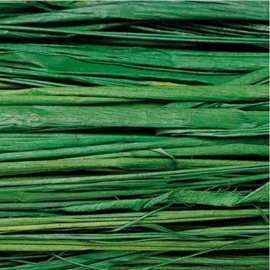 008536/0449- 20gram natuurraffia groen