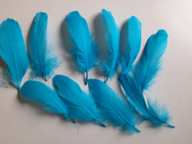 AM.421- 10 stuks ganzenveren van 15-19 cm. lang - licht blauw