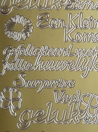 st969- stickervel met tekst gefeliciteerd met jullie huwelijk / kleine op komst 10x23cm goud