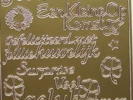 st670- diverse teksten huwelijk en in verwachting goud 10x20cm