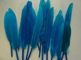 15 stuks eendenveren blauw/turquoise van 9 tot 15cm lang - SUPERLAGE PRIJS!