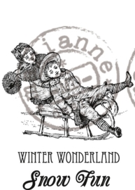 CE180016/0907- Marianne Design clearstamp winter wonderland - CS0907