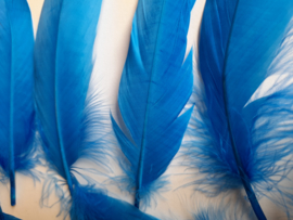 AM.318 - 10 stuks ganzenveren van 15 - 20 cm. blauw