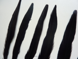 AM.142- 5 stuks ringneck fazant veren van 20-25cm lng zwart