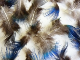 AM.199 - ca. 50 stuks  sierveertjes pauwblauw van 2.5 - 6 cm