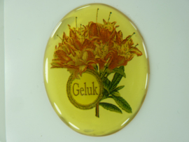 SLK.205.B - transparante zelfklevende badge "GELUK "