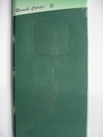 000137- 3 x kabinetkaarten + enveloppen 10.5x21.5cm