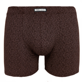 Set Boxershort gestreept microvezel bruin