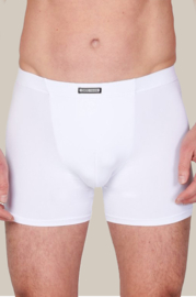 Boxershorts microvezel SET 6-pack wit