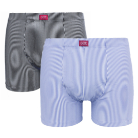 Boxershort 2-pack blauw-grijs gestreept