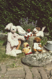 Beren & hun vriendjes
