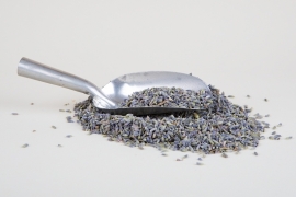 Lavendel