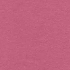 MarW024 Peony