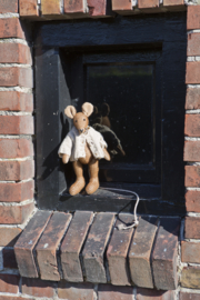 Rat