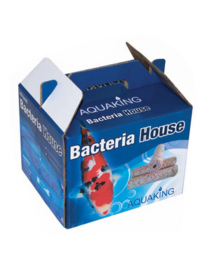 Bacteria house  box 80 stuks