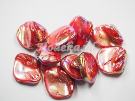 SCH09   1 x Schelp Rood met olie glans