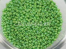 CRP10/58  12 gram Preciosa Rocailles 10/0 Groen mix