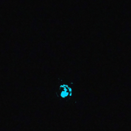 KGD02 ketting met Zeemeerminhanger Glow in the dark Blauw