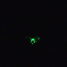KGD03 ketting met Paard Glow in the dark Groen