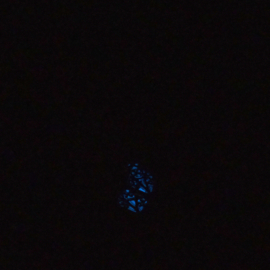 KGD04 ketting met Kubus Glow in the dark Blauw