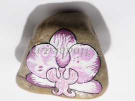 HPS18 Hand painted stone by Hodeka.nl Orchidee