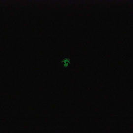 KGD01 ketting met Zeemeerminhanger Glow in the dark Groen