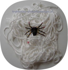 Groot spinnenweb (06145)