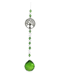 Groene zonnevanger - Levensboom