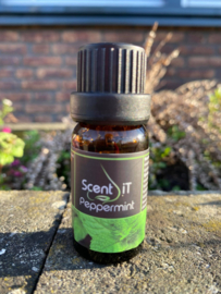 Peppermint - Etherische Geurolie | Scent-it